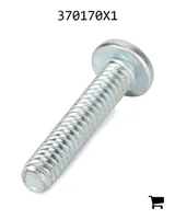 AGCO 370170X1 Винт