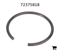 AGCO 72375818 Стопорная шайба