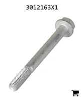 AGCO 3012163X1 Болт с шестигранной головкой и фланцем