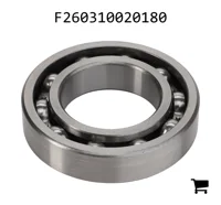 AGCO F260310020180 Радиальный шарикоподшипник