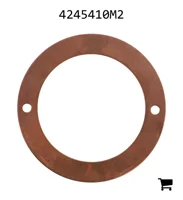 AGCO 4245410M2 Упорная шайба