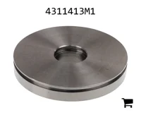 AGCO 4311413M1 Поршень