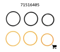 AGCO 71516405 Ремкомплект