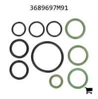 AGCO 3689697M91 Ремкомплект