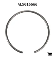 AGCO AL5016666 Кольцо