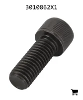 AGCO 3010862X1 Винт с цилиндрической головкой и шестигранным углублением
