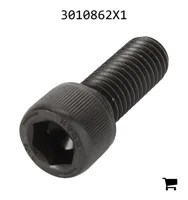 AGCO 3010862X1 Винт с цилиндрической головкой и шестигранным углублением