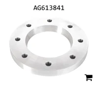 AGCO AG613841 Стопорная пластина