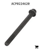 AGCO ACP0224620 Болт