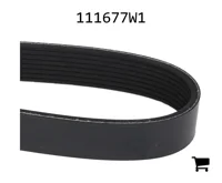 AGCO 111677W1 Ремень