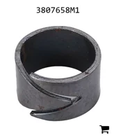 AGCO 3807658M1 Кольцо