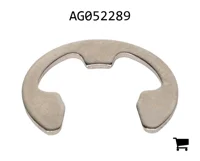 AGCO AG052289 Стопорное кольцо