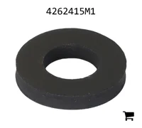 AGCO 4262415M1 Шайба