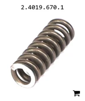 AGCO 2.4019.670.1 Пружина