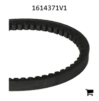 AGCO 1614371V1 Ремень