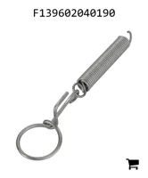 AGCO F139602040190 Пружина
