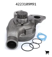 AGCO 4223109M91 Водяной насос с шестеренным приводом