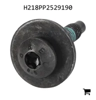 AGCO H218PP2529190 Винт
