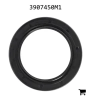 AGCO 3907450M1 Пыльник