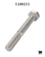 AGCO E100253 Болт