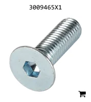 AGCO 3009465X1 Винт с плоской головкой и внутренним шестигранником