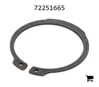 AGCO 72251665 Стопорное кольцо