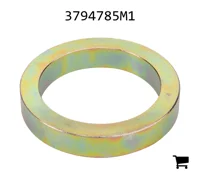 AGCO 3794785M1 Шайба