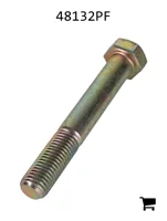 AGCO 48132PF Винт с шестигранной головкой