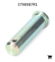 AGCO 3798987M1 Палец вилки