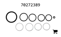 AGCO 70272389 Комплект уплотнений