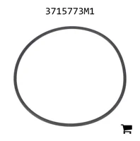 AGCO 3715773M1 Уплотнительное кольцо гидравлического фильтра