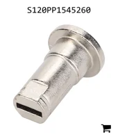 AGCO S120PP1545260 Цилиндр