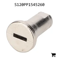 AGCO S120PP1545260 Цилиндр