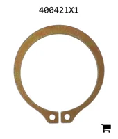 AGCO 400421X1 Кольцо