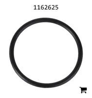 AGCO 1162625 Уплотнительное кольцо