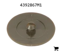 AGCO 4392867M1 Накладка