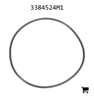 AGCO 3384524M1 Уплотнительное кольцо муфты