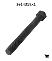 AGCO 3014319X1 Болт с шестигранной головкой