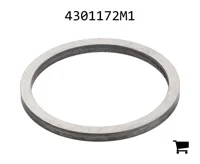 AGCO 4301172M1 Шайба