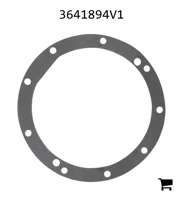 AGCO 3641894V1 Прокладка