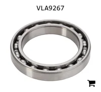 AGCO VLA9267 Шариковый подшипник