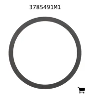 AGCO 3785491M1 Шайба
