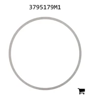 AGCO 3795179M1 Шайба