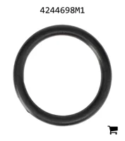 AGCO 4244698M1 Уплотнительное кольцо