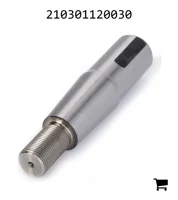 AGCO 210301120030 Болт