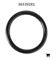 AGCO 365392X1 Уплотнительное кольцо