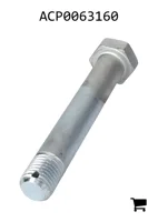 AGCO ACP0063160 Болт с шестигранной головкой