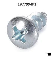 AGCO 1077994M1 Винт