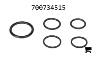 AGCO 700734515 Комплект сальников