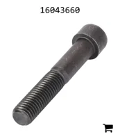 AGCO 16043660 Винт